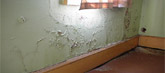 Rising damp Rising damp