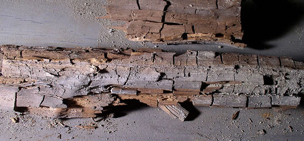 Dry Rot Treatment