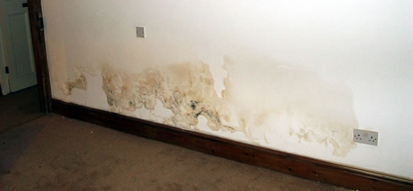 Rising Damp Treatment